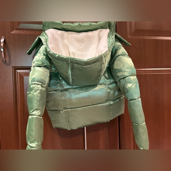 BNWT metallic green down puffer that converts into vest with removavle hood - Picture 2 of 9